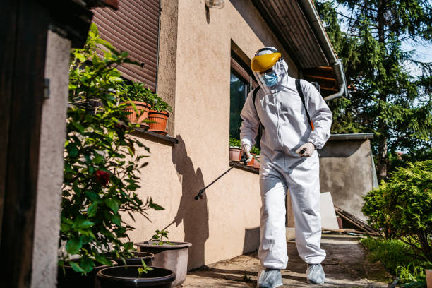 Best Local Pest Control Services  in Norwood Young America, MN