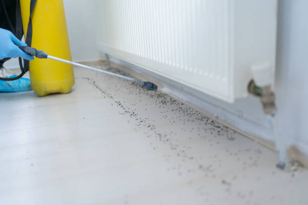Pest Control for Restaurants in Norwood Young America, MN